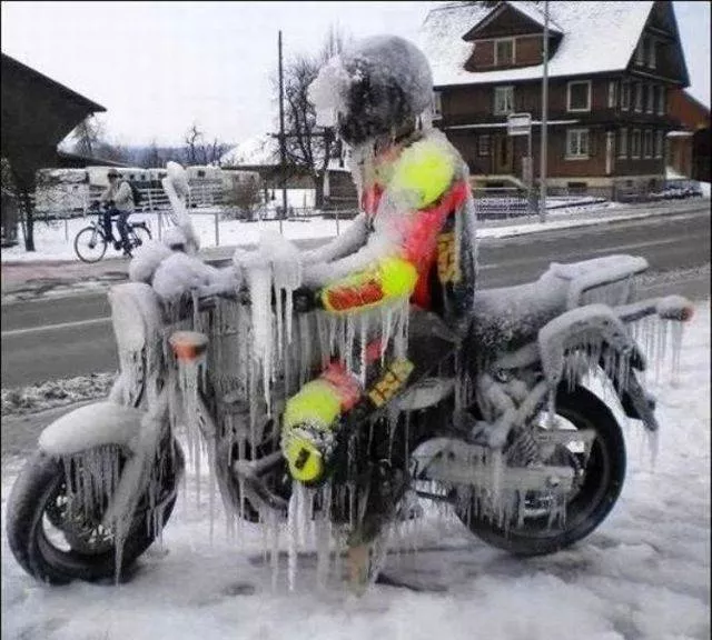Picdump 195 - #39 