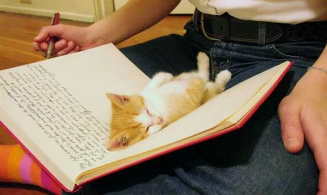 Picdump 195 - #50 