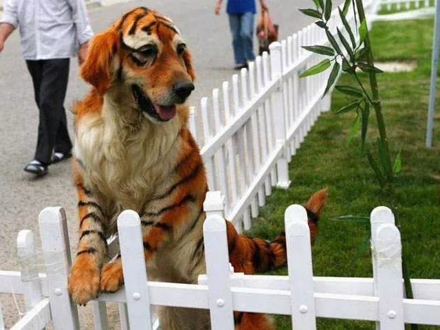 Picdump 195 - #58 