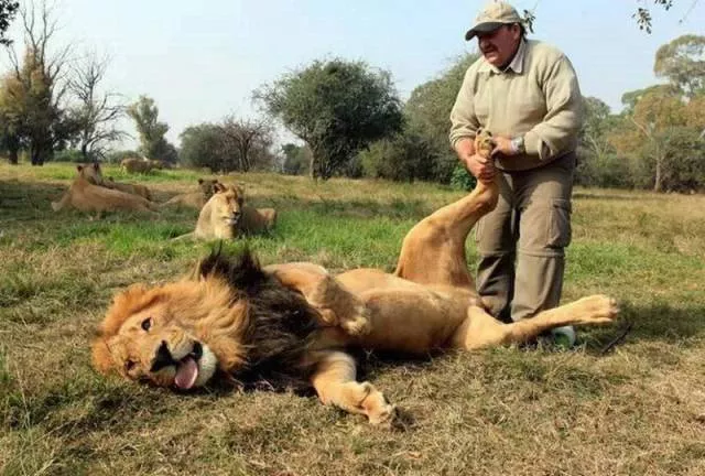 Picdump 195 - #59 
