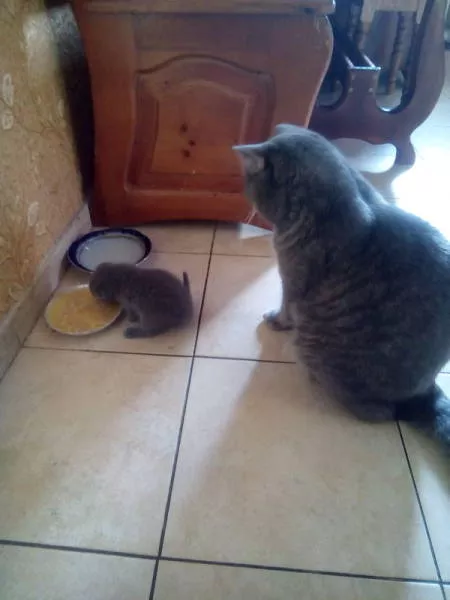 Picdump 196 - #12 