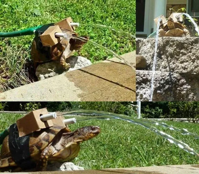 Picdump 196 - #13 