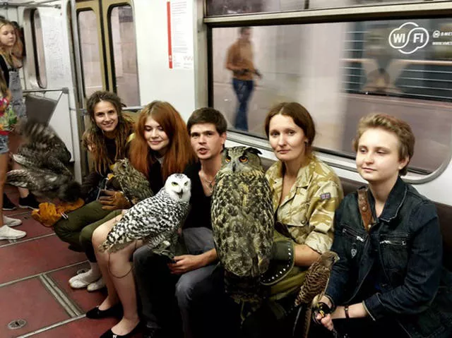 Picdump 196 - #14 