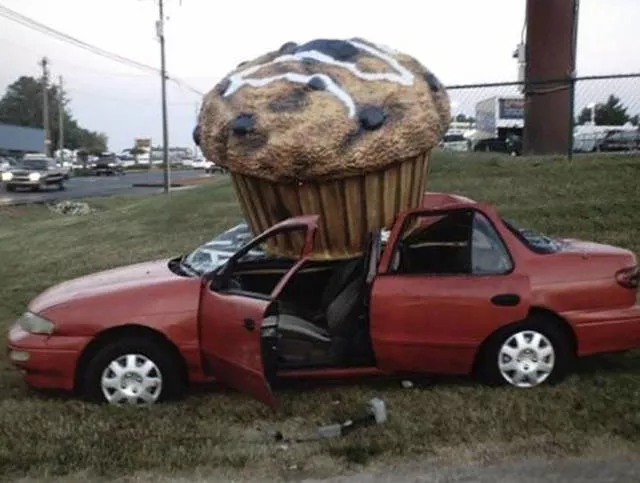 Picdump 196 - #16 