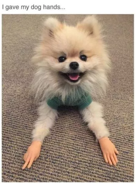 Picdump 196 - #25 