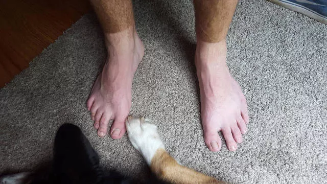 Picdump 196 - #47 