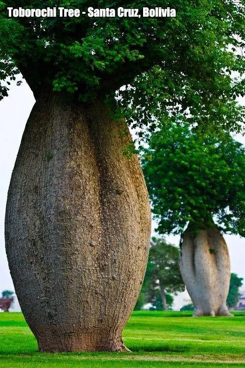 Picdump 196 - #5 