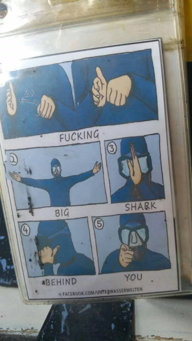 Picdump 196 - #54 