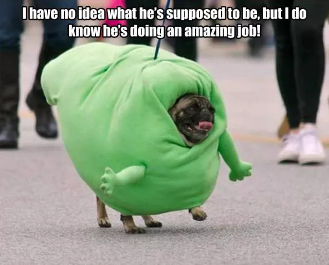 Picdump 196 - #58 
