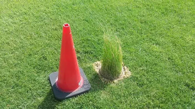 Epic fail of the week - #29 