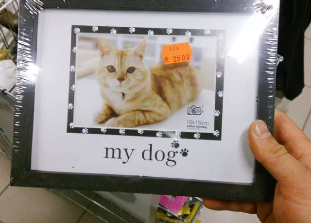 Epic fail of the week