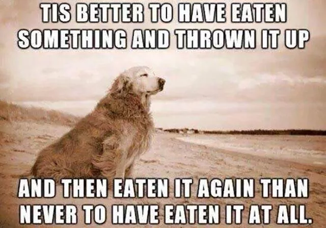 Picdump 197 - #100 