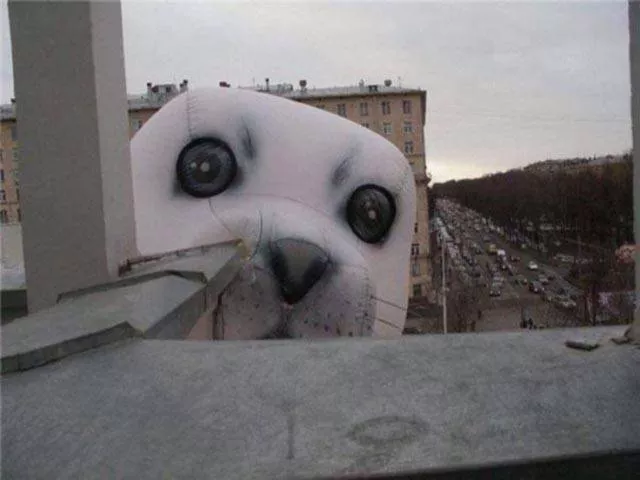 Picdump 197 - #20 