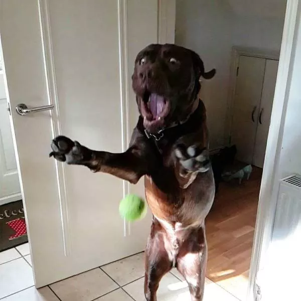 Picdump 197 - #21 
