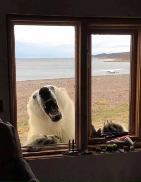 Picdump 197 - #61 