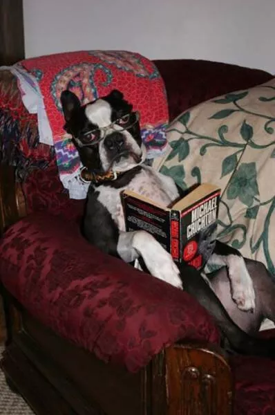 Picdump 197 - #64 