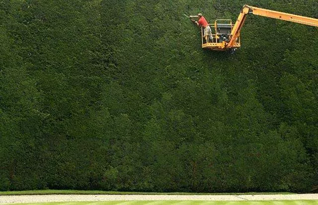 Picdump 197 - #72 