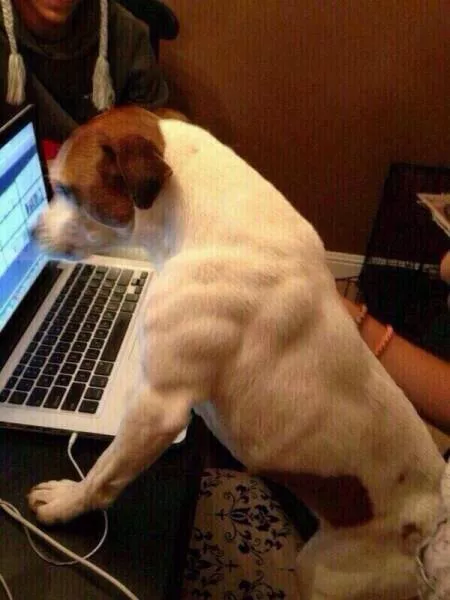 Picdump 197 - #76 
