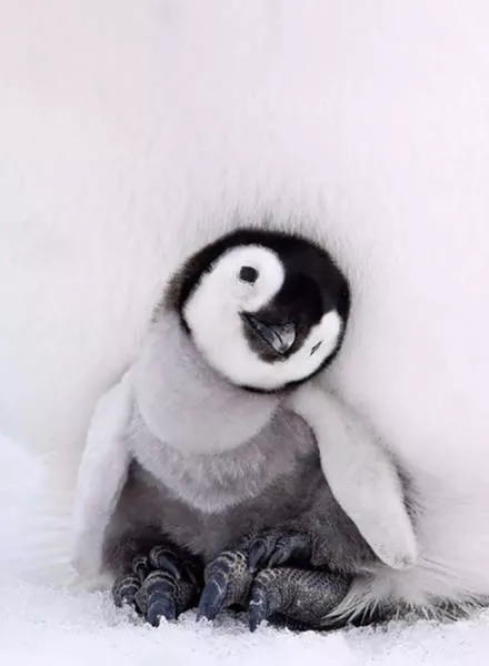 Superbes photos a partager absolument - #1 