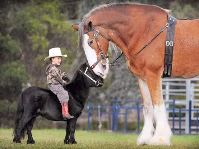 Superbes photos a partager absolument - #11 