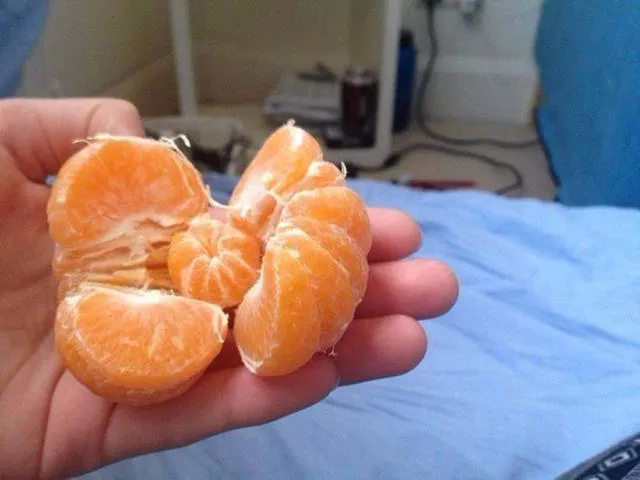 Superbes photos a partager absolument - #15 