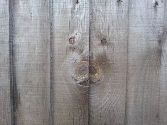 Amazing photos you must share - #18 