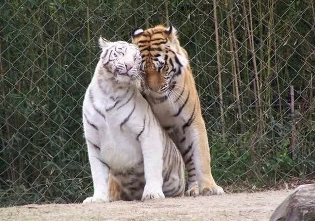 Amazing photos you must share - #2 