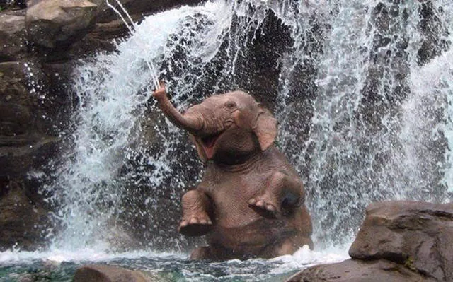 Superbes photos a partager absolument - #31 