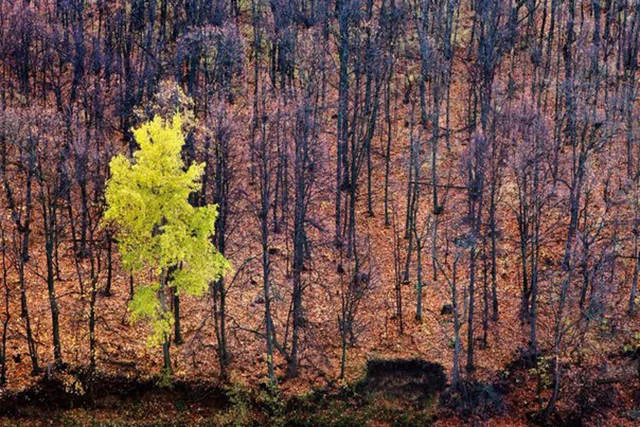 Superbes photos a partager absolument - #37 
