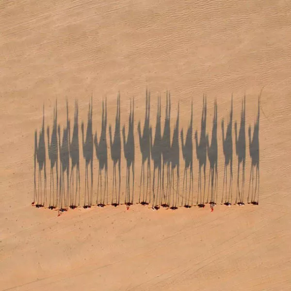Amazing photos you must share - #5 