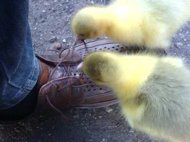 Amazing photos you must share - #7 