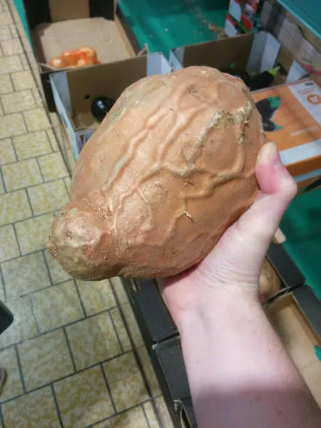 Picdump 198 - #17 