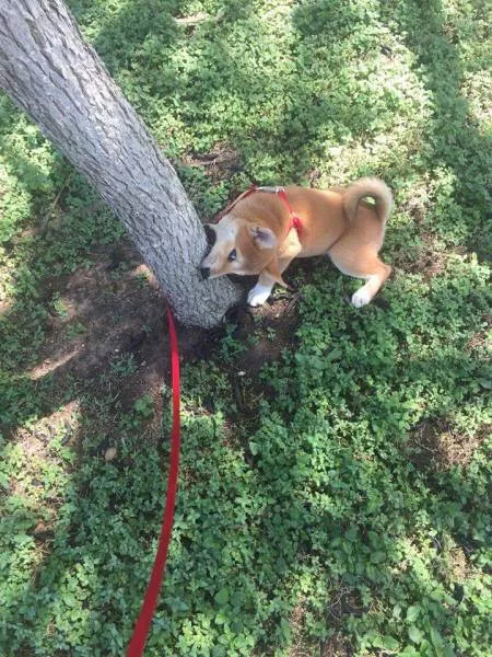 Picdump 198 - #29 
