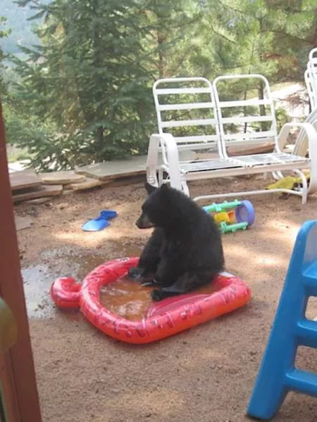 Picdump 198 - #39 