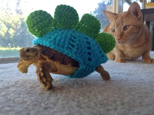 Picdump 198 - #48 
