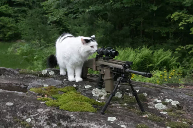 Picdump 198 - #56 