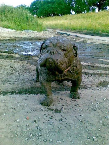 Picdump 198 - #6 