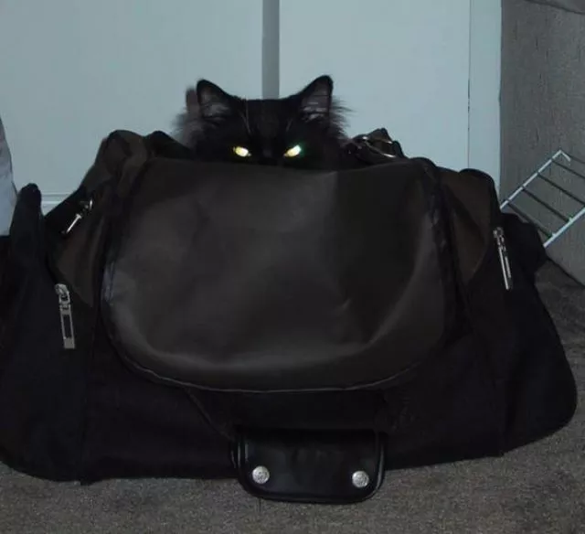 Beware they are watching you - #1 