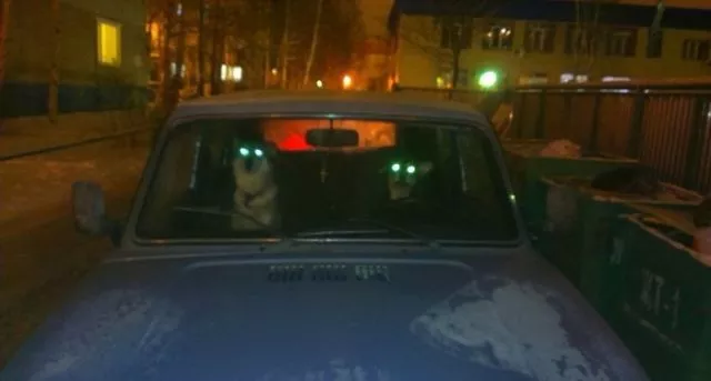 Beware they are watching you - #14 