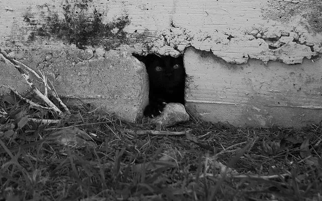 Beware they are watching you - #20 