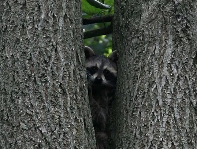 Beware they are watching you - #5 