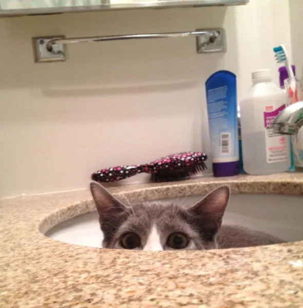 Beware they are watching you - #6 