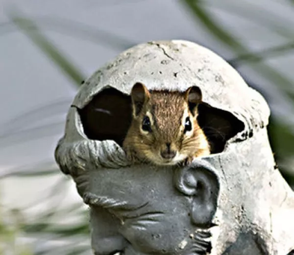 Beware they are watching you - #7 