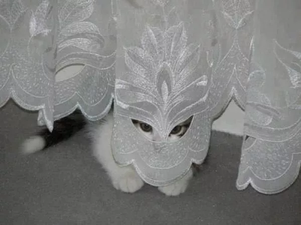 Beware they are watching you - #9 
