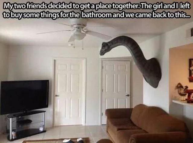 Picdump 199 - #13 