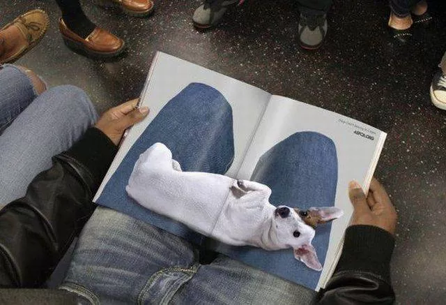 Picdump 199 - #18 