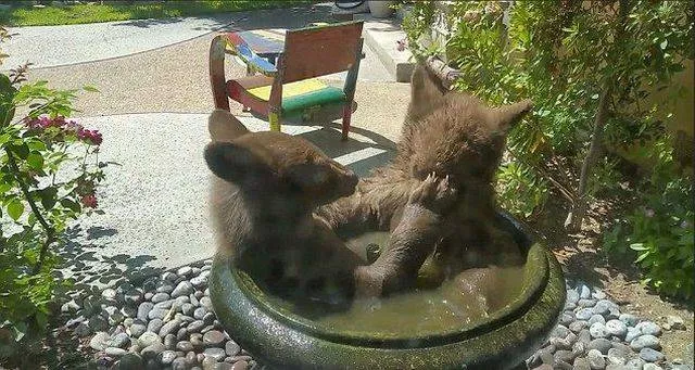 Picdump 199 - #56 