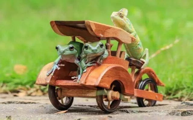 Picdump 199 - #79 