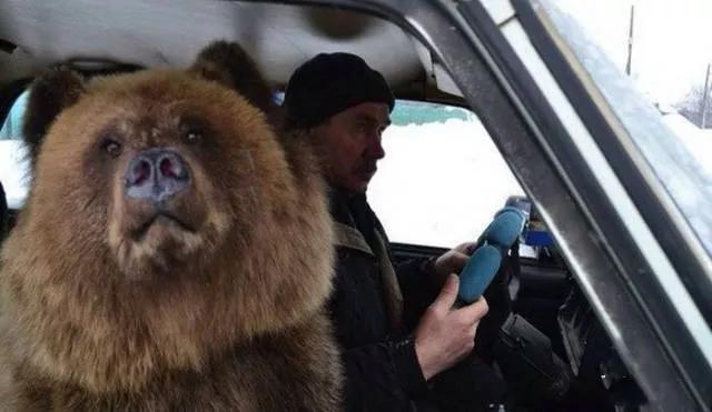 Do you really know russia - #8 