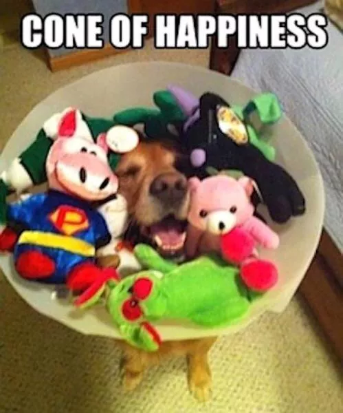 Picdump 200 - #43 